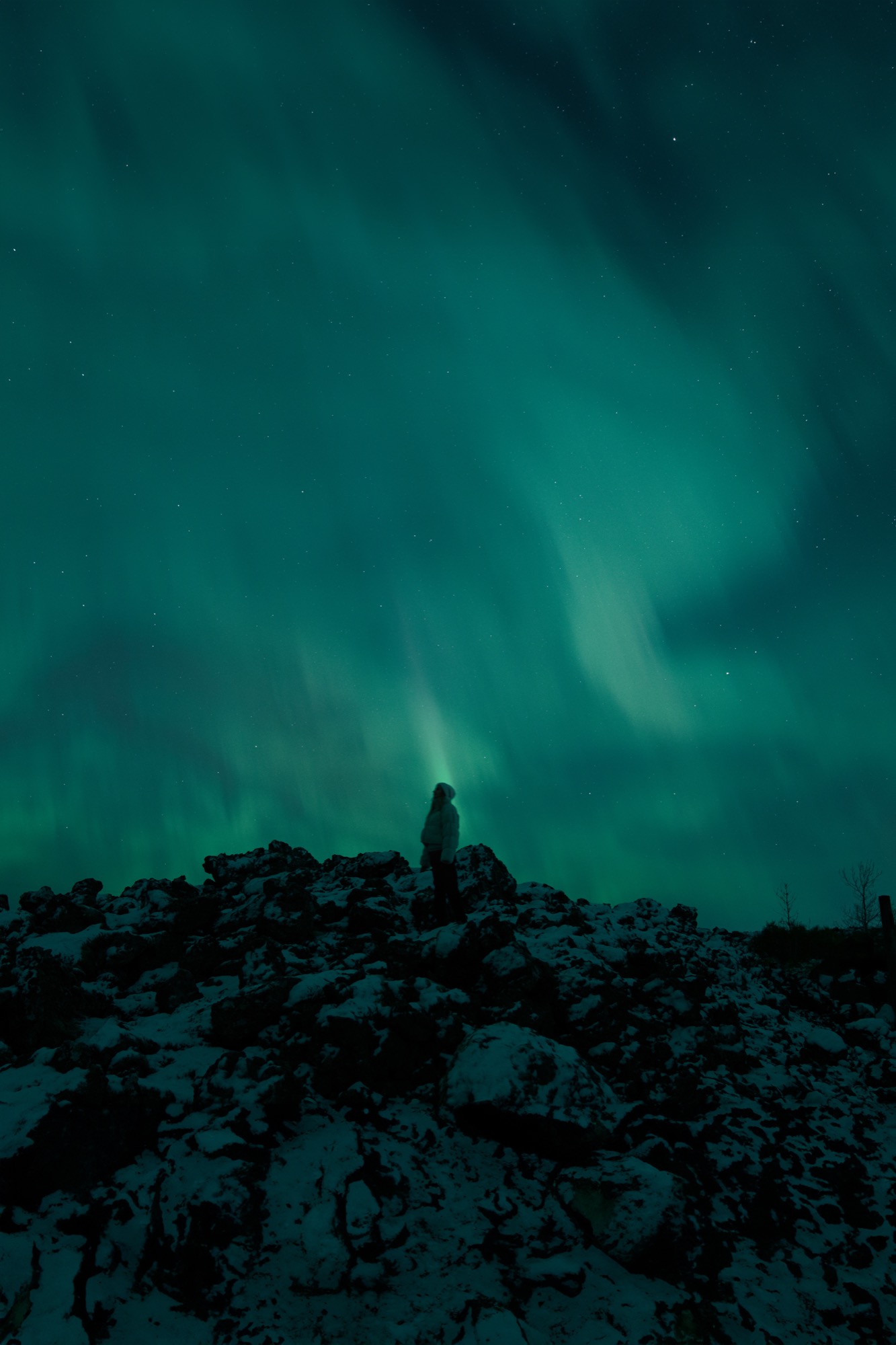 The Northen Lights